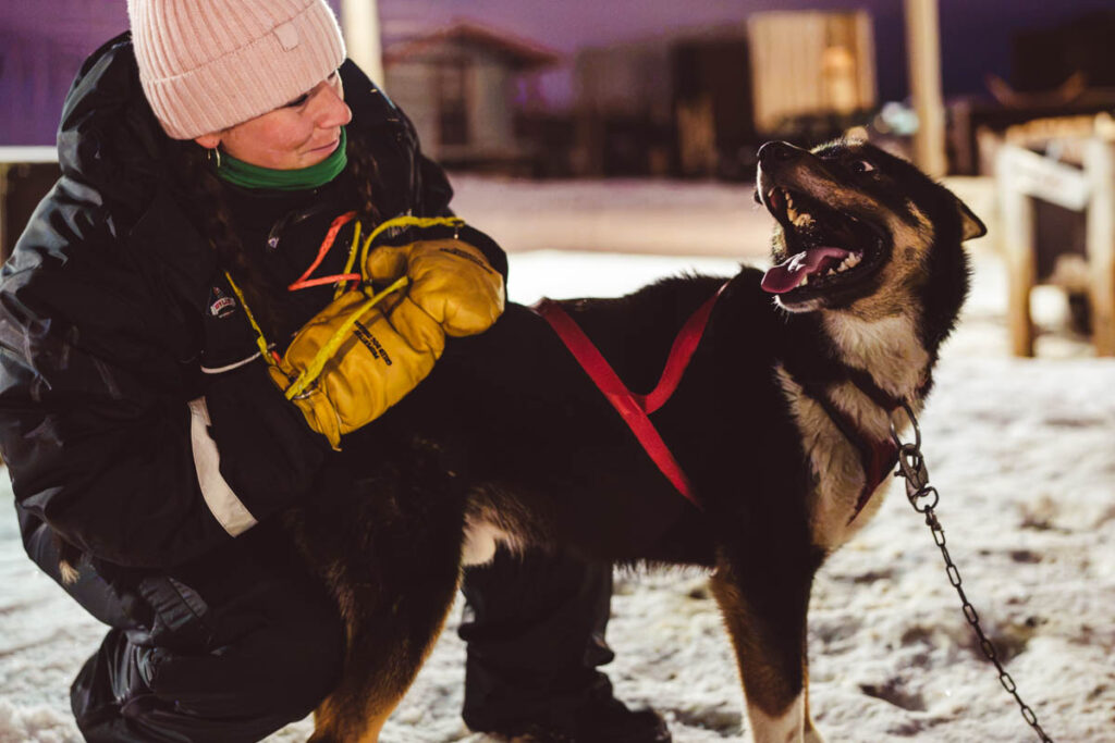 Pracovnice pečuje o husky během zimní sezóny ve Švédsku.