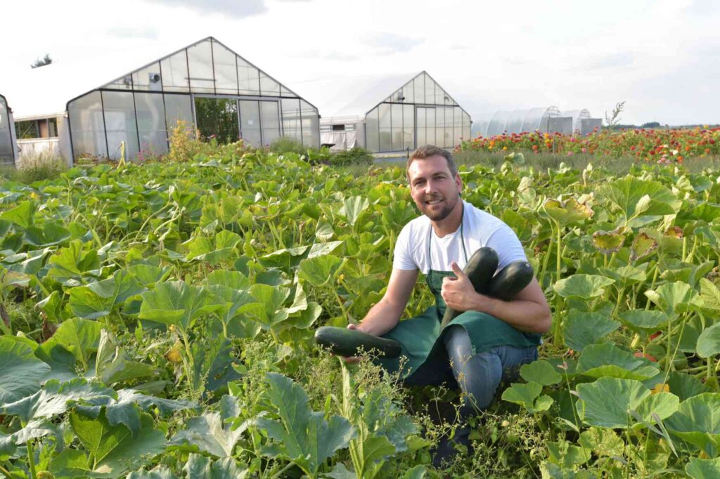 Sezónní práce v Dánsku ve sklenících a zemědělství