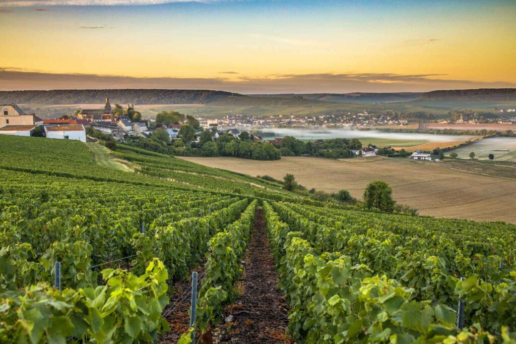 Práce ve Francii - Vinice a francouzská vesnice v krajině